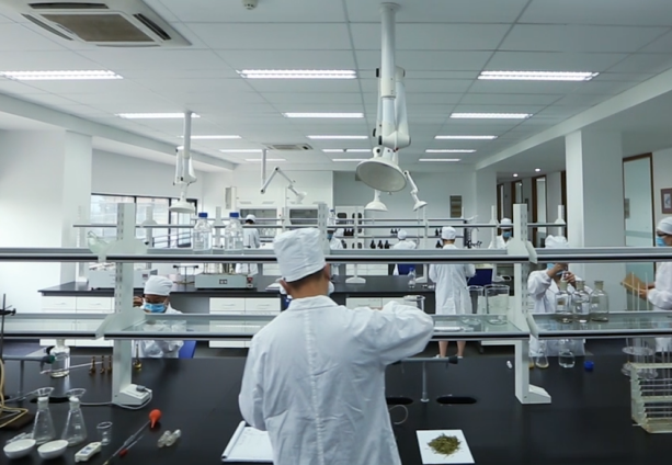 6d70f0591b464420a1bfb3b200063c21