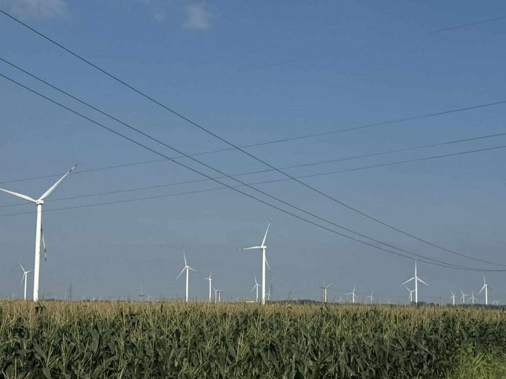 ffed42a85d8248dab9afc3fe533a678d