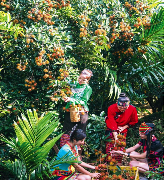 d6efeb6f6bc14dcdb05f7babc58bcb46