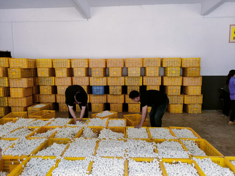 f8309e76129143efb276d2dd66fe65bf