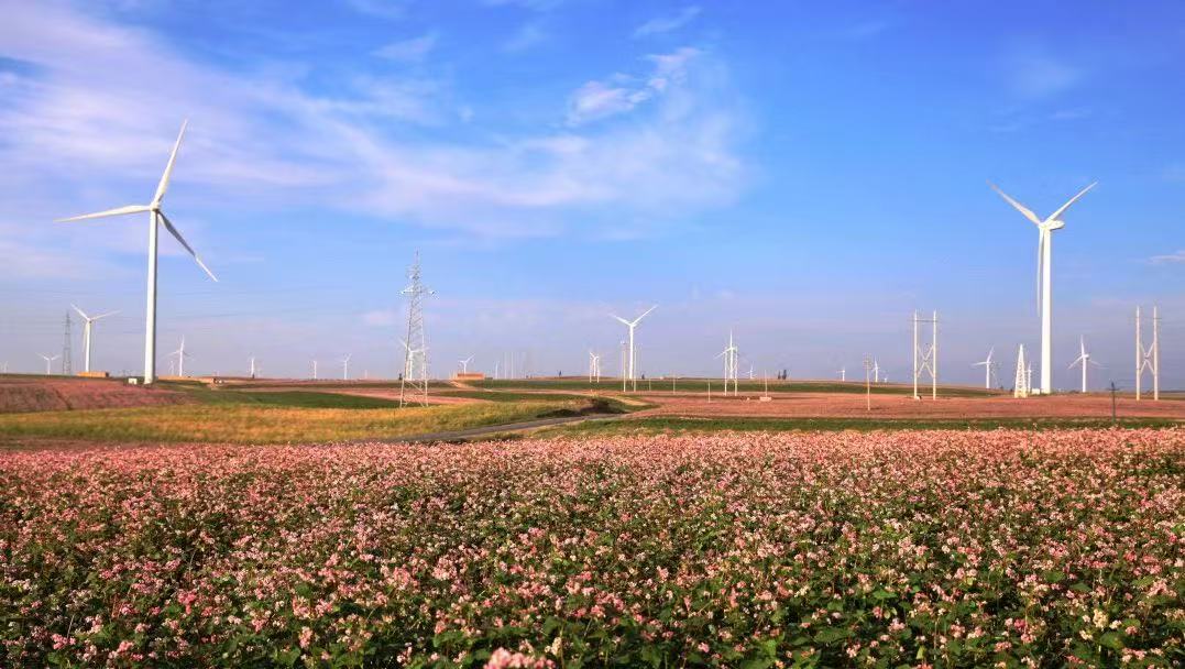 45a4cf45-492f-4b3d-9ec4-e3dad77d7c8eimage1 45a4cf45-492f-4b3d-9ec4-e3dad77d7c8eimage1