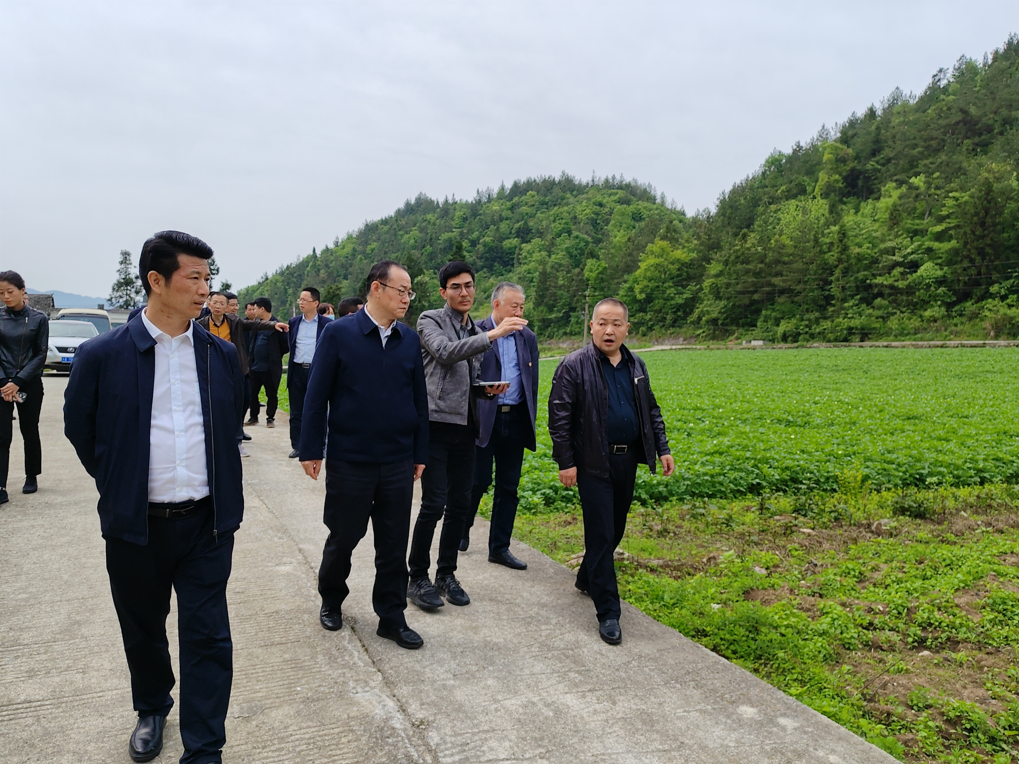 8b8caf3e31e24b2ea65d101083de19ca 8b8caf3e31e24b2ea65d101083de19ca