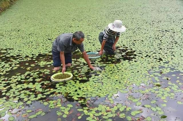 W020200422502211663961 EMC易倍·(中国)体育官方网站-EMC SPORTS