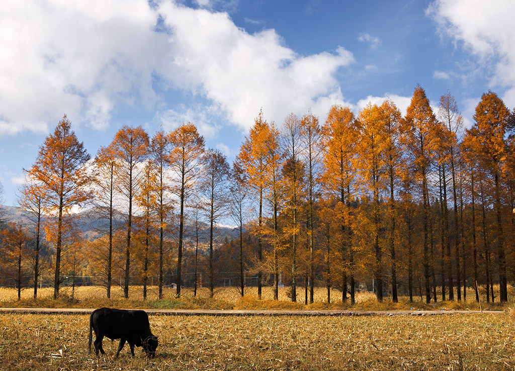 W020200422512483736959 EMCÒ×±¶¡¤(Öйú)ÌåÓý¹Ù·½ÍøÕ¾-EMC SPORTS