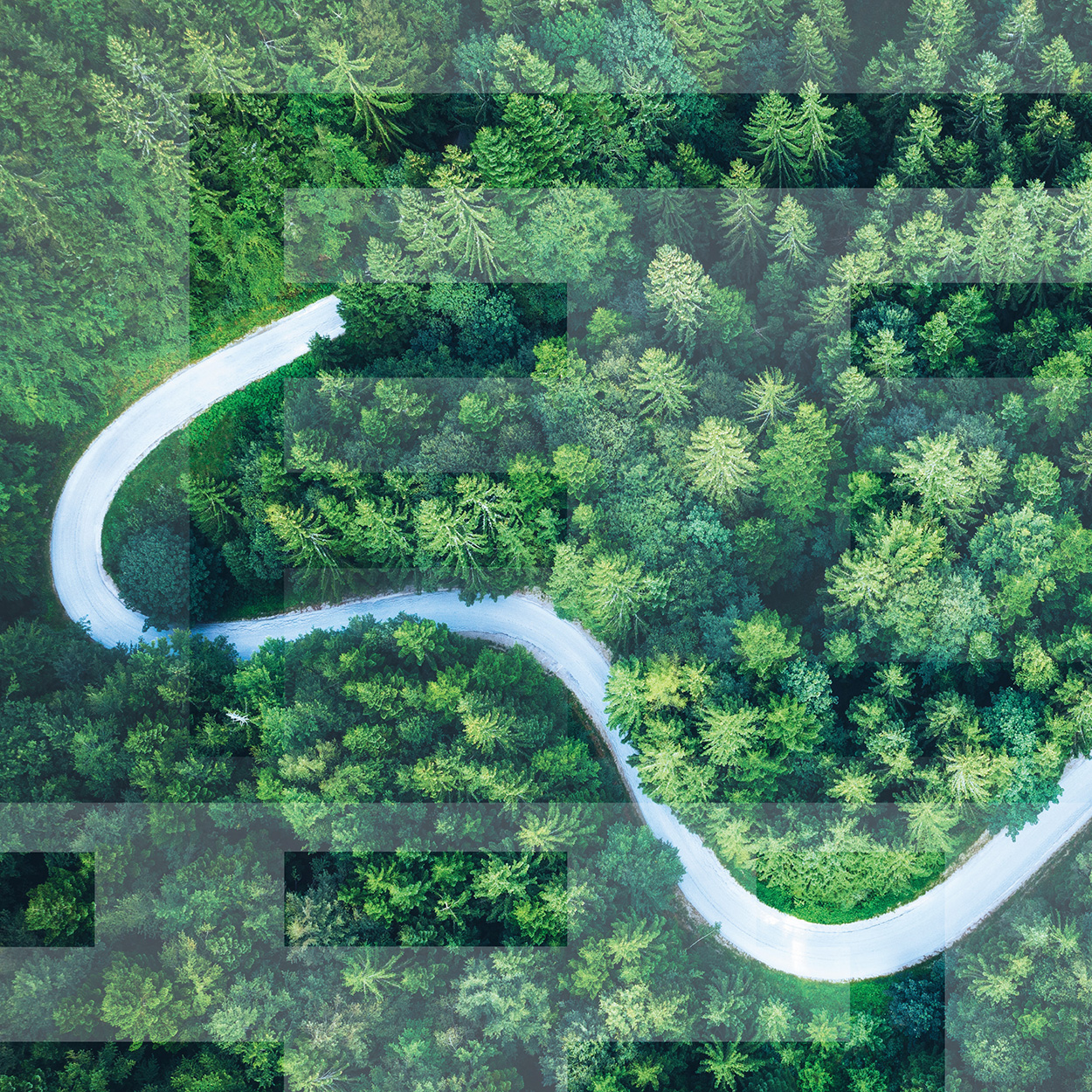 EMC�ױ���(�й�)�����ٷ���վ-EMC SPORTS